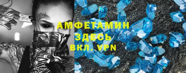 прущие грибы Балабаново