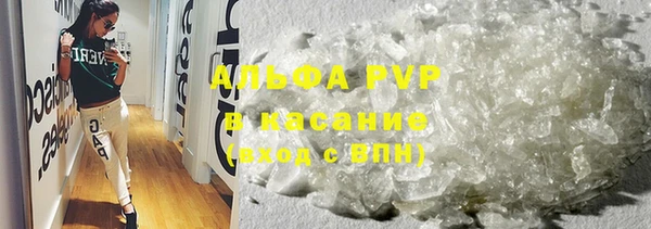 прущие грибы Балабаново